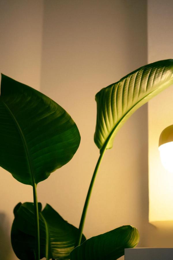 #9 3Mins To Station 1Stop To Shinjuku Stylish Apartment With Plenty Of Sunlight Tokyo Luaran gambar