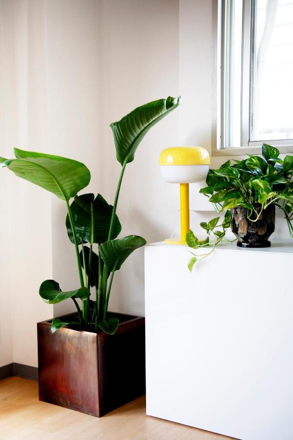 #9 3Mins To Station 1Stop To Shinjuku Stylish Apartment With Plenty Of Sunlight Tokyo Luaran gambar